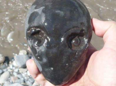 alien rock