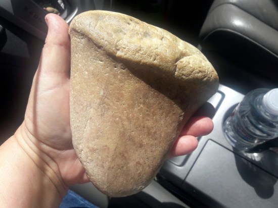 presumed meg tooth