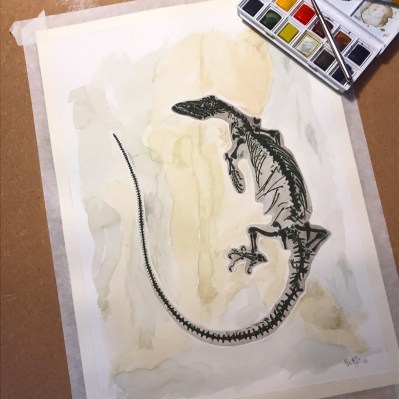 Supplementary 10 Lizard