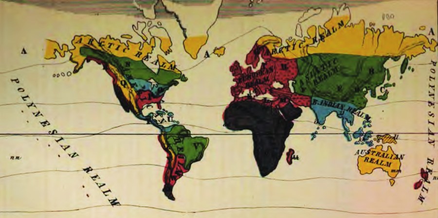 Types of Mankind Or, Ethnological Researches